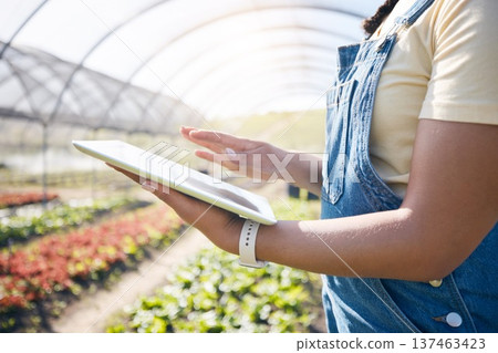 Agriculture, farming and hands with a tablet in a greenhouse for plants, innovation and sustainability. A farmer person with technology for eco growth, agro business management or quality control app Agriculture, farming and hands with a tablet in a greenhouse for plants, innovation and sustainability. A farmer person with technology for eco growth, agro business management or quality control app 137463423