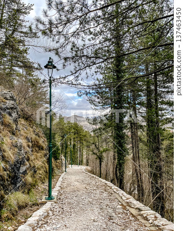 Peaceful route winding through pine woods toward mountain peaks Peaceful route winding through pine woods toward mountain peaks 137463450