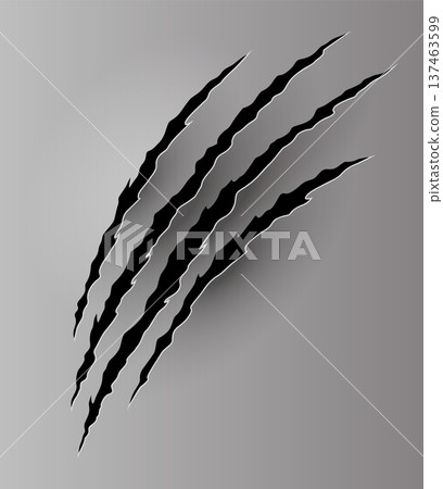 Bear or tiger claw mark. Scratches and torn traces of vector animal paw slashes. Hole in sheet of paper with torn edges. Vector illustration Bear or tiger claw mark. Scratches and torn traces of vector animal paw slashes. Hole in sheet of paper with torn edges. Vector illustration 137463599