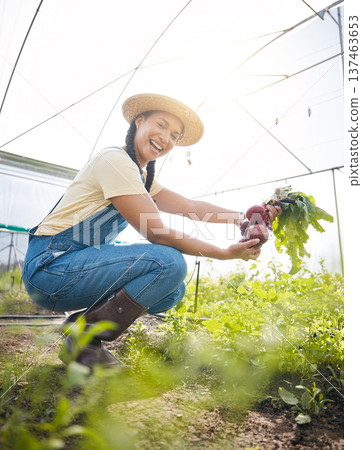 Farming, portrait of happy woman holding vegetables at sustainable small business in agriculture and organic food. Girl working at agro greenhouse, beetroot growth in garden and eco friendly smile. 137463653