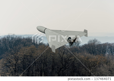 Strike unmanned aircraft performs combat flight above forest landscape. 137464071