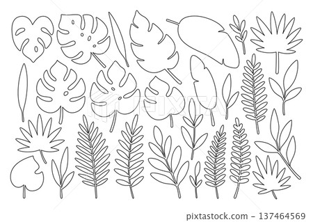 Outline assorted tropical leaves. Detailed drawings for botanical coloring books, patterns, and creative vector design projects Outline assorted tropical leaves. Detailed drawings for botanical coloring books, patterns, and creative vector design projects 137464569