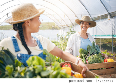 Farming, agriculture and women with vegetables and teamwork in a greenhouse for sustainability. Happy people working together on a farm for eco lifestyle, agro startup or organic food for wellness Farming, agriculture and women with vegetables and teamwork in a greenhouse for sustainability. Happy people working together on a farm for eco lifestyle, agro startup or organic food for wellness 137465645