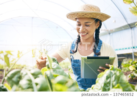 Farmer, woman and tablet for greenhouse plants, growth inspection and vegetables development in agriculture. Young worker farming, quality assurance and digital tech for food or gardening progress 137465652