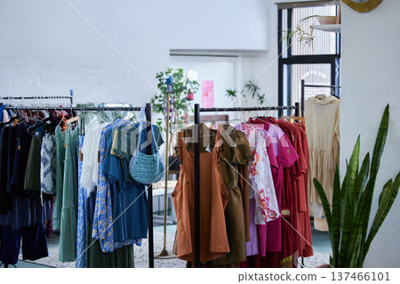 Fashion, retail and clothes in store for shopping choice, decision and option in boutique. Luxury designs, rack and display of clothing, material and textile products for sale, deal and discount 137466101