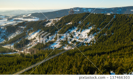 Sky Bridge 721 suspension bridge crossing a forest landscape in winter. Concept of modern architecture and nature. Sky Bridge 721 suspension bridge crossing a forest landscape in winter. Concept of modern architecture and nature. 137466303