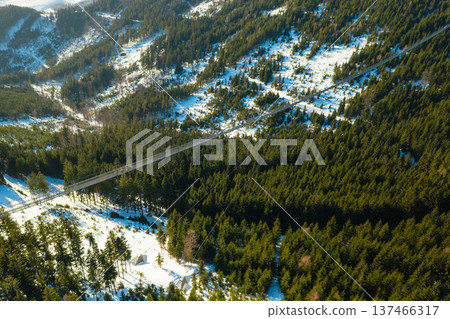 Suspension footbridge Sky Bridge 721 stretching over a snowy forest in winter. Concept of adventure tourism and outdoor travel. 137466317