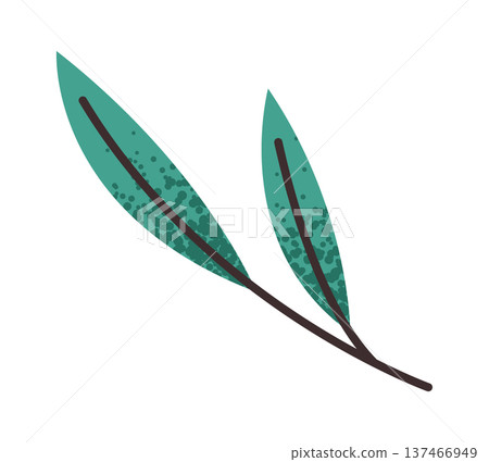 Olive sprig with leaves element Olive sprig with leaves element 137466949