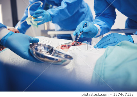 Medical tools, group hands and surgery operation, hospital service or doctors healing wound, injury or patient anatomy. Health risk problem, ICU and closeup surgeon teamwork in operating room theatre Medical tools, group hands and surgery operation, hospital service or doctors healing wound, injury or patient anatomy. Health risk problem, ICU and closeup surgeon teamwork in operating room theatre 137467132