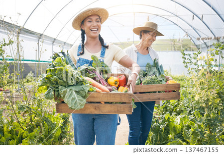 Women, agriculture and vegetable farming teamwork in a greenhouse for harvest and sustainability. Happy farmer people together on a farm for supply chain, agro startup or organic food for wellness Women, agriculture and vegetable farming teamwork in a greenhouse for harvest and sustainability. Happy farmer people together on a farm for supply chain, agro startup or organic food for wellness 137467155