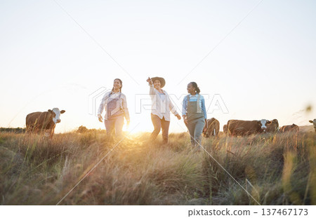 Cow, farm and employees in countryside working and helping on cattle, live stock or sustainable farming with women. Farmer, manager and pointing worker to animals, grass, grain or rural environment Cow, farm and employees in countryside working and helping on cattle, live stock or sustainable farming with women. Farmer, manager and pointing worker to animals, grass, grain or rural environment 137467173