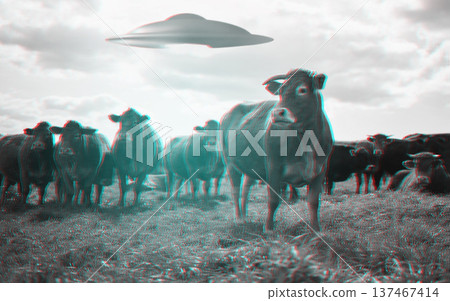 Alien, spaceship and UFO with cow on farm for fantasy, science fiction and space invasion. Extraterrestrial, countryside and flying saucer beam on cattle ranch for discovery, abduction and mystery Alien, spaceship and UFO with cow on farm for fantasy, science fiction and space invasion. Extraterrestrial, countryside and flying saucer beam on cattle ranch for discovery, abduction and mystery 137467414
