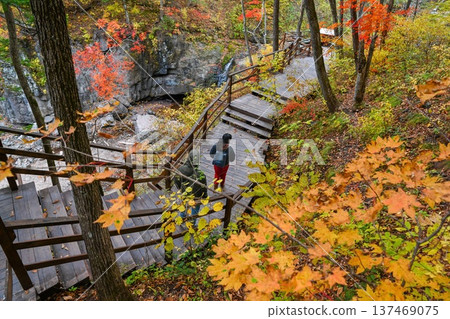 Two Russian tourists walk along a wooden trail at Kravtsovskie waterfalls in Primorsky Krai, surrounded by vibrant autumn forest and natural scenic views. 137469075