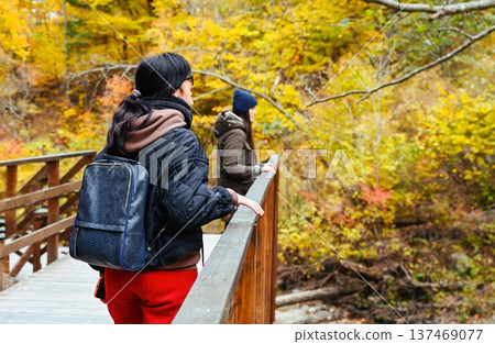 Two female friends standing together on a wooden bridge, looking into autumn forest. Horizontal travel scene with copy space, calm mood, nature escape. 137469077