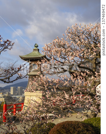 Plum blossoms and night lights Plum blossoms and night lights 137469472