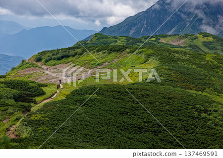 登山者沿著北阿爾卑斯山湯森山的山脊行走 登山者沿著北阿爾卑斯山湯森山的山脊行走 137469591