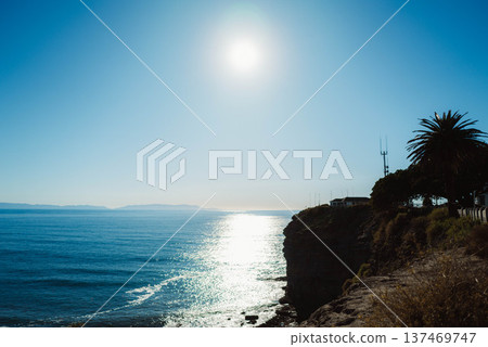 洛杉磯日常生活 #15 137469747