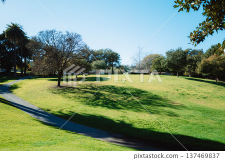 Daily Life in LA #56 137469837