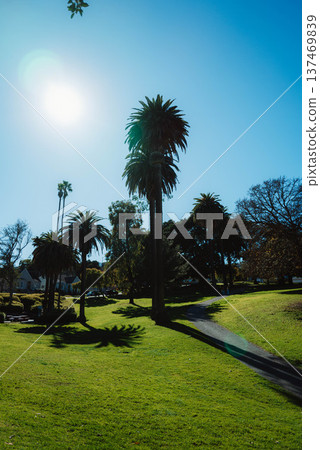 Daily Life in LA #58 137469839