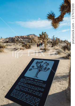 Joshua Power #32 137470100