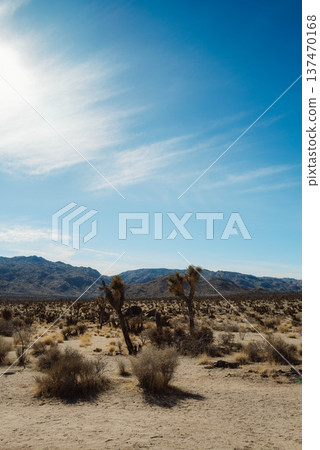 約書亞·鮑爾 #54 137470168