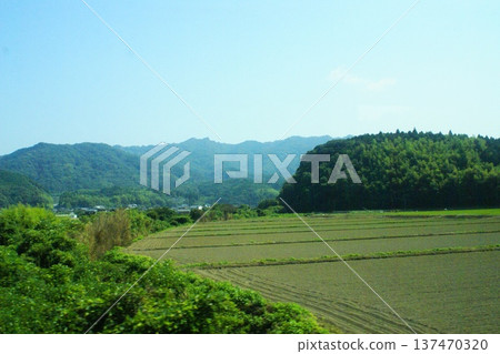 Color Background Mountain Nature Countryside (Registered March 2026) Color Background Mountain Nature Countryside (Registered March 2026) 137470320