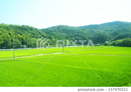 Color Background Mountain Nature Countryside (Registered March 2026) Color Background Mountain Nature Countryside (Registered March 2026) 137470321