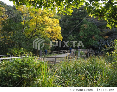 三個佛教寺廟池塘在秋天 三個佛教寺廟池塘在秋天 137470466