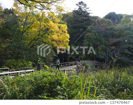 三個佛教寺廟池塘在秋天 三個佛教寺廟池塘在秋天 137470467