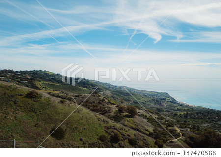 LA Beach #82 LA Beach #82 137470588