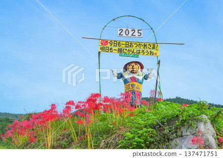 Eri山的水稻梯田 137471751