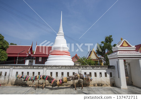 THAILAND NONTHABURI PAK KRET KO KRET WAT THONG THONG 137472711