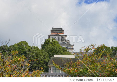 Karatsu castle Karatsu castle 137472907