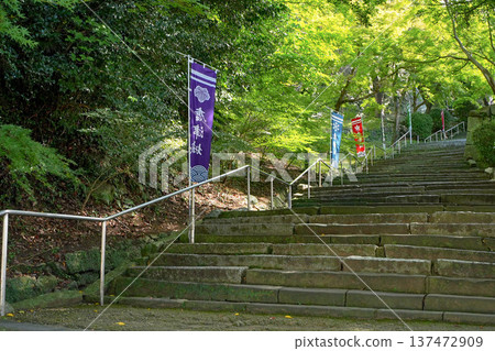 唐津城堡 唐津城堡 137472909