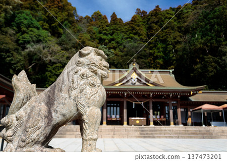 鹿兒島縣護國神社(鹿兒島市)的神社和守護獅子雕像 鹿兒島縣護國神社(鹿兒島市)的神社和守護獅子雕像 137473201