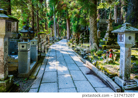 高野山奧之院:通往雪松林的路 高野山奧之院:通往雪松林的路 137473207
