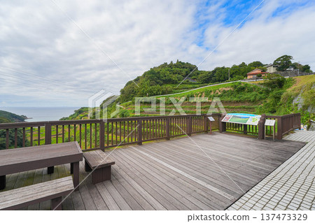 Rice terrace of Hamanoura 137473329