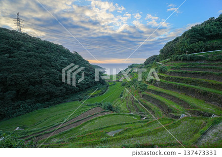 Rice terrace of Hamanoura 137473331