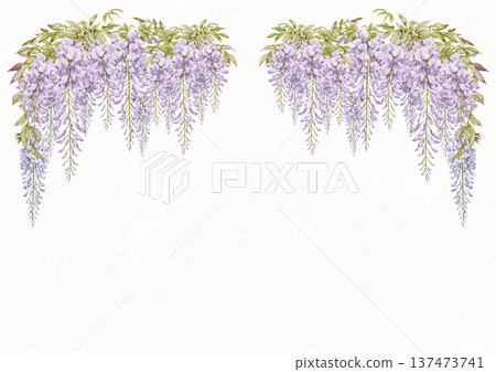紫藤花框 3 紫藤花框 3 137473741