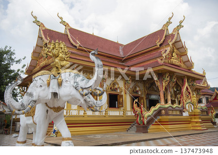 THAILAND SA KAEO WAT MAE YA SOM THAILAND SA KAEO WAT MAE YA SOM 137473948