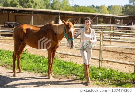 Armenian girl, owner of horse, walks pet outdoor in paddock 137474303