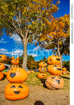 Halloween pumpkins and autumn scenery lined up in Onuma Quasi-National Park, Hokkaido Halloween pumpkins and autumn scenery lined up in Onuma Quasi-National Park, Hokkaido 137474521