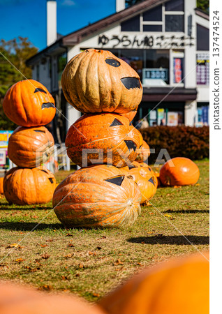 Halloween pumpkins and autumn scenery lined up in Onuma Quasi-National Park, Hokkaido 137474524