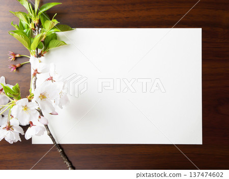 背景框_櫻花 背景框_櫻花 137474602