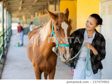 Asian female worker takes horse out of stall, holds animal by bridle and leads pet for walk Asian female worker takes horse out of stall, holds animal by bridle and leads pet for walk 137474902