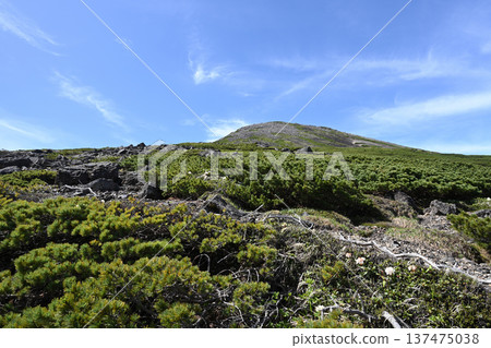 攀登岐阜縣長野縣北阿爾卑斯山脈乘鞍岳 攀登岐阜縣長野縣北阿爾卑斯山脈乘鞍岳 137475038