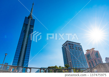 A view of the blue sky, Fukuoka Tower, and Momochi Seaside Park (Fukuoka City, Kyushu) 137475975