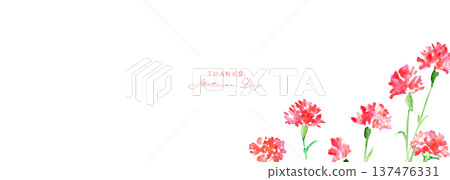 Watercolor painting. Watercolor carnation vector illustration. Carnation background for Mother's Day. Watercolor painting. Watercolor carnation vector illustration. Carnation background for Mother's Day. 137476331