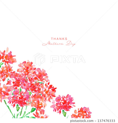 Watercolor painting. Watercolor carnation vector illustration. Carnation background for Mother's Day. 137476333