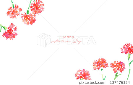 Watercolor painting. Watercolor carnation vector illustration. Carnation background for Mother's Day. 137476334